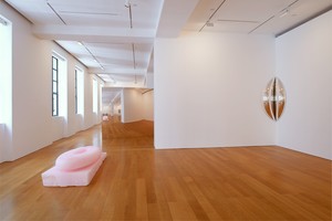 Installation view. Artworks © Anish Kapoor