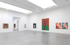 Installation view. All Richard Avedon artworks © The Richard Avedon Foundation All Andy Warhol artworks © 2016 The Andy Warhol Foundaiton for the Visual Arts, Inc. / Artists Rights Society (ARS), New York, photo by Mike Bruce
