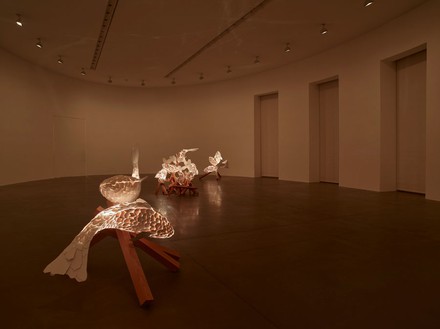Installation view Artwork © Frank O. Gehry. Photo: Matteo D’Eletto