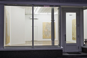 Installation view. Artwork © Rudolf Stingel. Photo: John Lehr