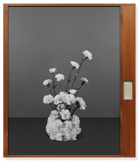 Taryn Simon, Bratislava Declaration, Bratislava, Slovakia, August 3, 1968, from the series Paperwork and the Will of Capital, 2015 Archival inkjet print and text on archival herbarium paper in wood frame, 85 × 73 ¼ × 2 ¾ inches (215.9 × 186.1 × 7 cm), edition of 3 + 2 AP© Taryn Simon