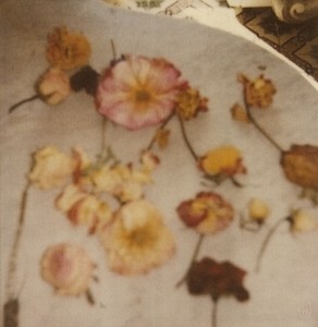 Cy Twombly, Light Flowers V (Gaeta), 2008. Color dry-print, 17 × 11 inches (43.2 × 27.9 cm), edition 3/6 © Nicola Del Roscio Foundation