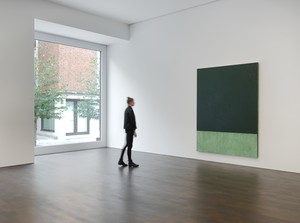 Installation view. Artwork © Brice Marden/Artists Rights Society (ARS), New York, and DACS, London 2017. Photo: Mike Bruce