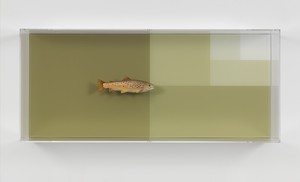 Carsten Höller, Divisions (River Trout and Surface), 2017. Acrylic glass, paint, stainless steel, screws, and fish taxidermy by Matthias Fahrni, 40 ¾ × 17 ½ × 9 ¼ inches (103.5 × 44.5 × 23.6 cm) © Carsten Höller. Photo: Rob McKeever