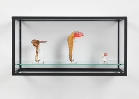 Carsten Höller, Double Mushroom Vitrine (Threefold), 2015 Acrylic paint, glass disks, metal pins, vitrine glass, powder-coated metal framework, 12 ¼ × 10 ¼ × 23 ⅝ inches (31 × 26 × 60 cm)© Carsten Höller. Photo: Rob McKeever