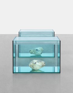 Damien Hirst, Analgesics, 1993. Glass, silicone, acrylic, polystyrene, sheep's heads, and formaldehyde solution, in 2 parts, dimensions variable © Damien Hirst and Science Ltd. All rights reserved. DACS 2017