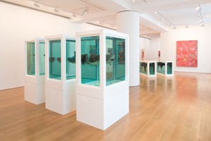 Installation view. Artworks © Damien Hirst and Science Ltd. All rights reserved. DACS 2017