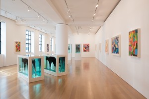 Installation view. Artworks © Damien Hirst and Science Ltd. All rights reserved. DACS 2017