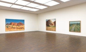 Installation view. Artwork © The Estate of Michael Andrews. Courtesy James Hyman Gallery, London. Photo: Mike Bruce