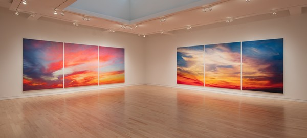 Rudolf Stingel, 980 Madison Avenue, New York, November 10–December