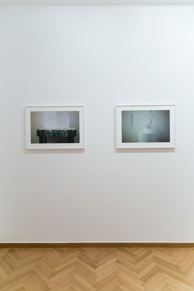 Sally Mann: Remembered Light: Cy Twombly in Lexington, Merlin