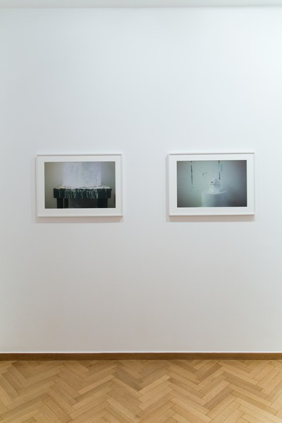 Sally Mann: Remembered Light: Cy Twombly in Lexington, Merlin