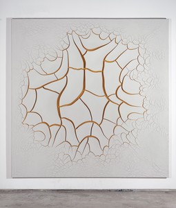 Adriana Varejão, Bone White Song, 2017. Oil and plaster on canvas, 70 ⅞ × 70 ⅞ inches (180 × 180 cm) © Adriana Varejão. Photo: Jaime Acioli