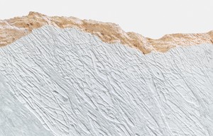 Giuseppe Penone, Pelle del monte, 2012 (detail). Carrara marble, 67 × 63 × 2 ¼ inches (170.2 × 160 × 5.7 cm) © Giuseppe Penone. Photo: Douglas M. Parker Studio