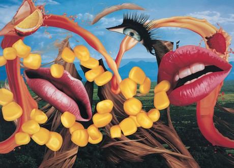 Jeff Koons, Lips, 2000 (detail) Oil on canvas, 120 × 168 inches (304.8 × 426.7 cm)© Jeff Koons