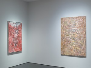 Installation view. Artwork © Emily Kame Kngwarreye/Copyright Agency. Licensed by Artists Rights Society (ARS), New York, 2019. Photo: Rob McKeever