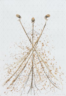Giuseppe Penone, Geometria del pensiero (Geometry of Thought), 2016 Coffee and pencil on paper, 18 ⅞ × 13 inches (48 × 33 cm)© 2019 Artists Rights Society (ARS), New York/ADAGP, Paris
