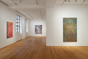 Installation view. Artwork, left and right: © Emily Kame Kngwarreye/Copyright Agency. Licensed by Artists Rights Society (ARS), New York, 2020; center: © Bill Whiskey Tjapaltjarri