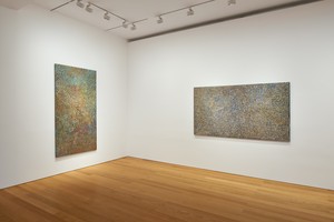 Installation view. Artwork © Emily Kame Kngwarreye/Copyright Agency. Licensed by Artists Rights Society (ARS), New York, 2020