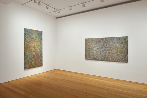 Installation view Artwork © Emily Kame Kngwarreye/Copyright Agency. Licensed by Artists Rights Society (ARS), New York, 2020