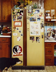 Roe Ethridge, Refrigerator, 1999. Dye sublimation print on aluminum, 30 × 24 inches (76.2 × 61 cm), edition of 5 + 2 AP © Roe Ethridge