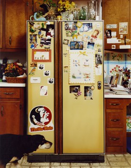 Roe Ethridge, Refrigerator, 1999 Dye sublimation print on aluminum, 30 × 24 inches (76.2 × 61 cm), edition of 5 + 2 AP© Roe Ethridge