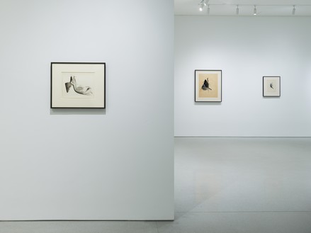 Installation view Artwork © 2020 The Jay DeFeo Foundation/Artists Rights Society (ARS), New York. Photo: Robert Divers Herrick