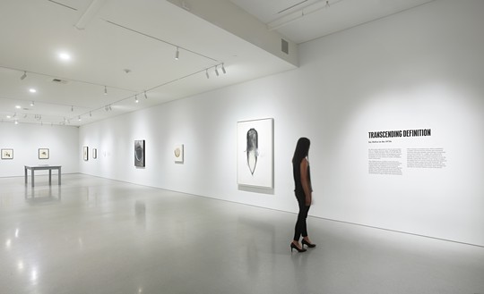 Installation view Artwork © 2020 The Jay DeFeo Foundation/Artists Rights Society (ARS), New York. Photo: Robert Divers Herrick
