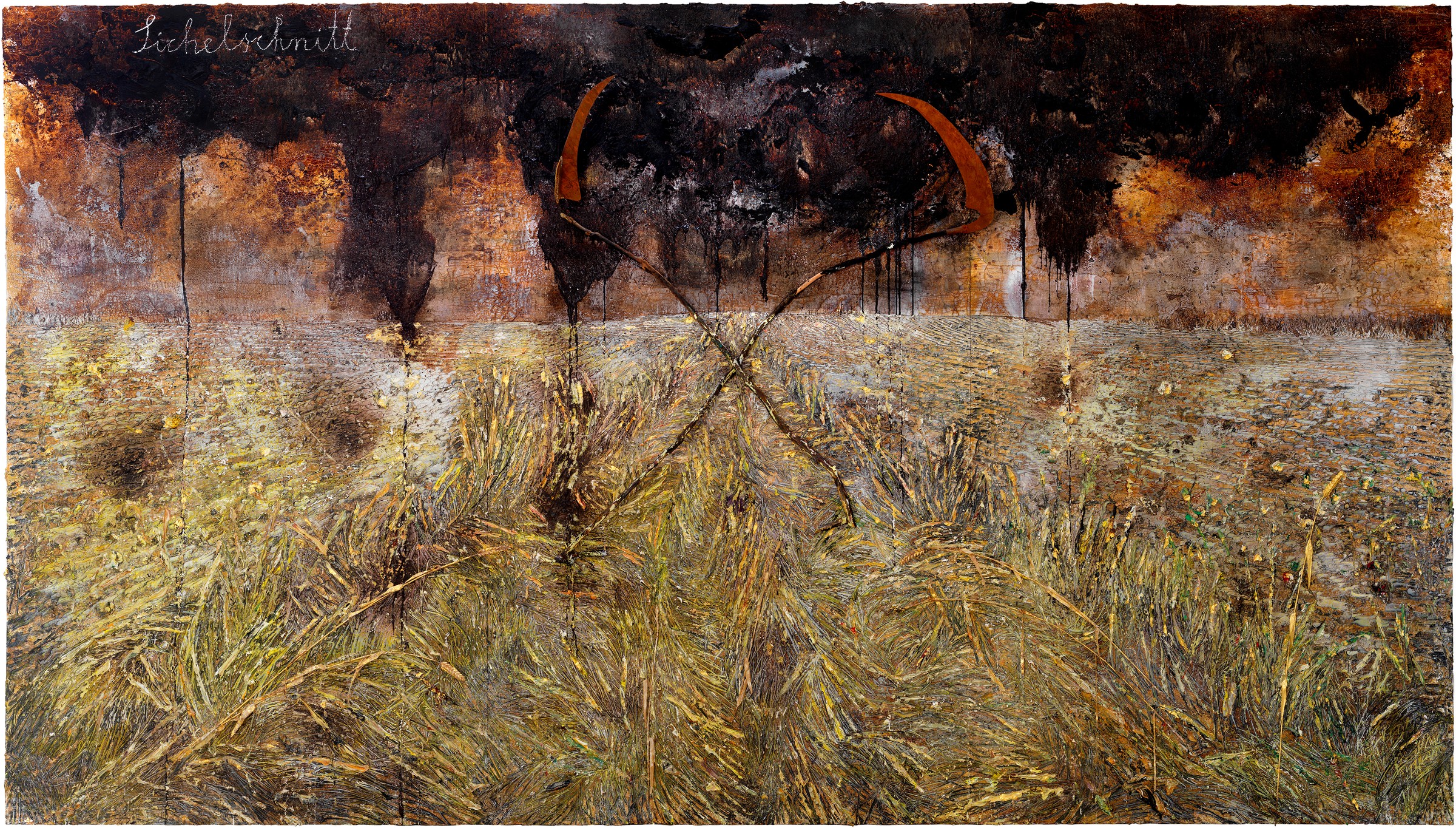 Anselm Kiefer Field of the Cloth of Gold, Le Bourget