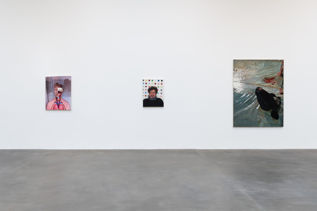 Damien Hirst: Fact Paintings and Fact Sculptures, Britannia Street