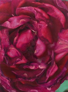 Damien Hirst, Dark Pink Rose, 2019. Oil on canvas, 51 × 38 inches (129.4 × 96.5 cm) © Damien Hirst and Science Ltd. All rights reserved, DACS 2021. Photo: Prudence Cuming Associates
