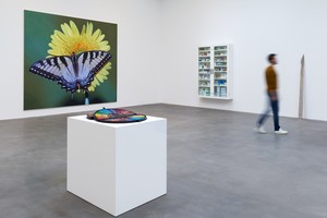 Installation view. Artwork © Damien Hirst and Science Ltd. All rights reserved, DACS 2021. Photo: Prudence Cuming Associates