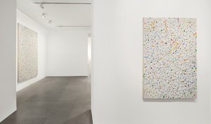Installation view. Artwork © Damien Hirst and Science Ltd. All rights reserved, DACS 2021. Photo: Matteo D’Eletto