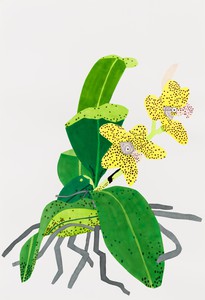 Jonas Wood, Yellow Orchid with Purple Dots, 2020. Gouache and colored pencil on paper, 59 ⅞ × 40 ⅞ inches (152.1 × 103.8 cm) © Jonas Wood