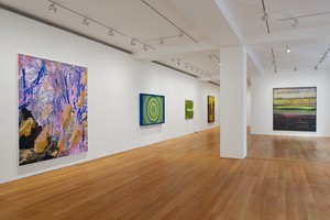 Installation view. Artwork, left to right: © Urs Fischer; © Damien Hirst and Science Ltd. All rights reserved, DACS 2021; © Mary Weatherford; © Zeng Fanzhi Studio; © Sterling Ruby