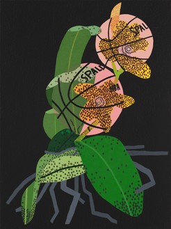 Jonas Wood, Bball Orchid with Dots #2, 2021 Oil and acrylic on linen, 40 × 30 inches (101.6 × 76.2 cm)© Jonas Wood. Photo: Marten Elder