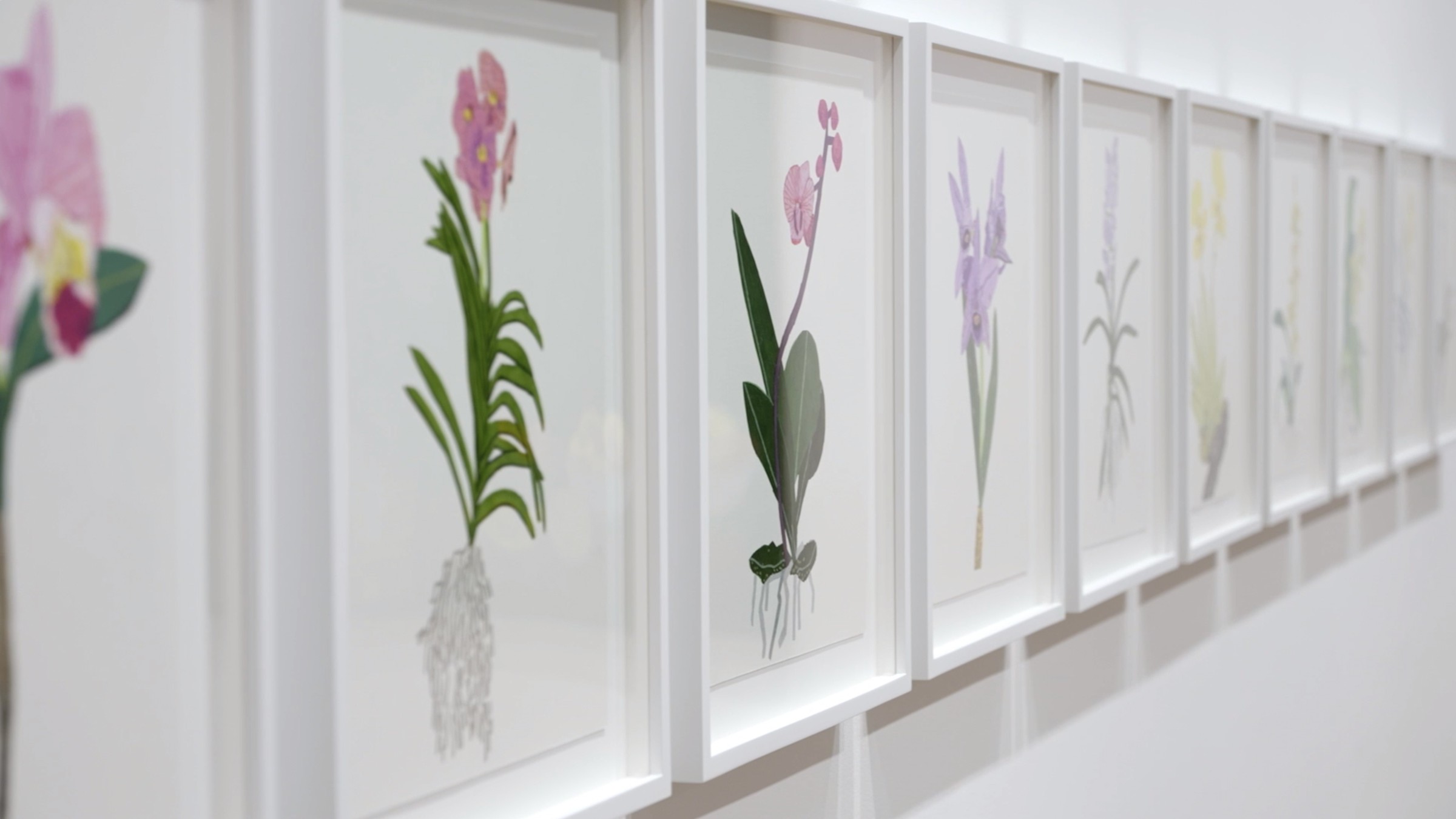 Jonas Wood, Hong Kong, November 23, 2021–February 12, 2022 | Gagosian