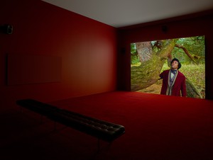 Installation view with Isaac Julien, Lessons of the Hour (2019). Artwork © Isaac Julien. Photo: Prudence Cuming Associates