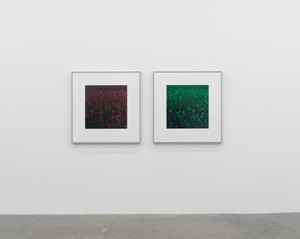Installation view with Andreas Gursky, Connect I &amp; II (2018). Artwork © Andreas Gursky/Artists Rights Society (ARS), New York. Photo: Rob McKeever