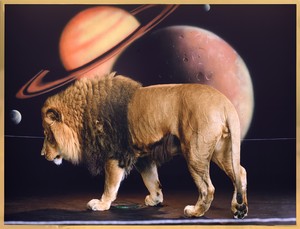 Awol Erizku, Lion (Body) II, 2022. Duratrans on lightbox, 49 ⅜ × 65 ⅝ × 3 ¾ inches (125.3 × 166.7 × 9.5 cm), edition of 3 + 2 AP © Awol Erizku. Photo: Rob McKeever