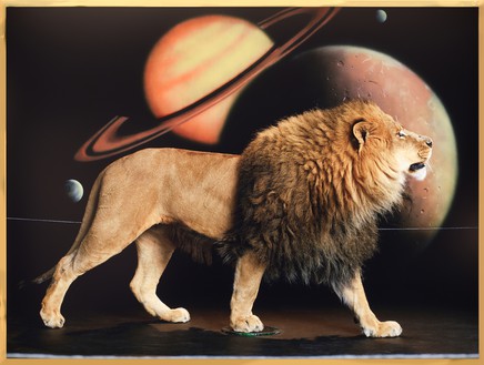 Awol Erizku, Lion (Body) I, 2022 Duratrans on lightbox, 50 ⅞ × 67 ¼ × 3 ¾ inches (129.2 × 170.7 × 9.5 cm), edition of 3 + 2 AP© Awol Erizku. Photo: Rob McKeever