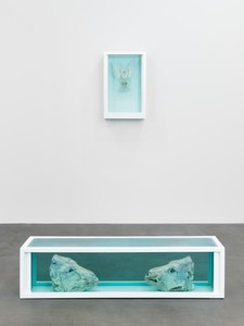 Installation view. Artwork © Damien Hirst and Science Ltd. All rights reserved, DACS 2022. Photo: Prudence Cuming Associates Ltd
