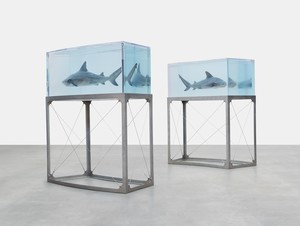 Damien Hirst, Rescuer – Victim, 2008. Acrylic, stainless steel, monofilament, sharks, and formaldehyde solution, in 2 parts, each: 113 ½ × 50 × 48 ¼ inches (288.1 × 126.9 × 122.6 cm) © Damien Hirst and Science Ltd. All rights reserved, DACS 2022. Photo: Prudence Cuming Associates Ltd