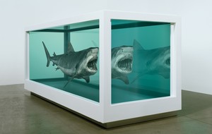 Damien Hirst, Death Denied, 2008. Glass, painted stainless steel, silicone, monofilament, tiger shark, and formaldehyde solution, 84 ⅞ × 202 ½ × 74 ¼ inches (215.4 × 514.2 × 188.4 cm) © Damien Hirst and Science Ltd. All rights reserved, DACS 2022. Photo: Prudence Cuming Associates Ltd