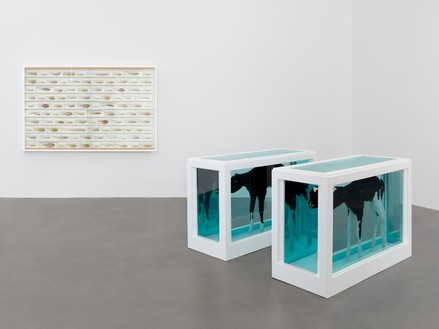 Installation view Artwork © Damien Hirst and Science Ltd. All rights reserved, DACS 2022. Photo: Prudence Cuming Associates Ltd