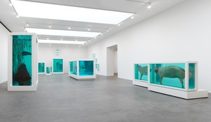 Installation view. Artwork © Damien Hirst and Science Ltd. All rights reserved, DACS 2022. Photo: Prudence Cuming Associates Ltd