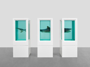 Damien Hirst, Myth Explored, Explained, Exploded, 1993. Glass, painted steel, silicone, monofilament, acrylic, shark, and formaldehyde solution, in 3 parts, each: 78 ⅛ × 42 ½ × 30 ½ inches (198.3 × 107.9 × 77.5 cm) © Damien Hirst and Science Ltd. All rights reserved, DACS 2022. Photo: Prudence Cuming Associates Ltd