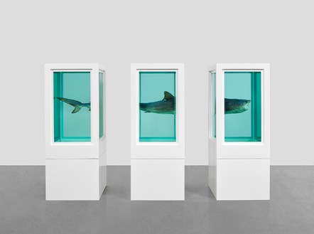 Damien Hirst, Myth Explored, Explained, Exploded, 1993 Glass, painted steel, silicone, monofilament, acrylic, shark, and formaldehyde solution, in 3 parts, each: 78 ⅛ × 42 ½ × 30 ½ inches (198.3 × 107.9 × 77.5 cm)© Damien Hirst and Science Ltd. All rights reserved, DACS 2022. Photo: Prudence Cuming Associates Ltd