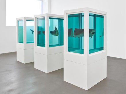 Installation view with Damien Hirst, Myth Explored, Explained, Exploded (1993) Artwork © Damien Hirst and Science Ltd. All rights reserved, DACS 2022. Photo: Prudence Cuming Associates Ltd