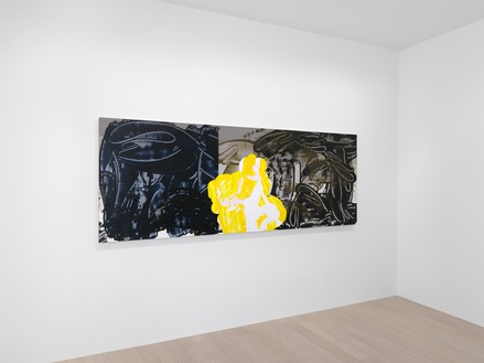 Installation view with David Reed, #725 (2018–22) © 2022 David Reed/Artists Rights Society (ARS), New York. Photo: Annik Wetter